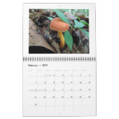 Calendrier - Champignons des bois (Feb 2027)