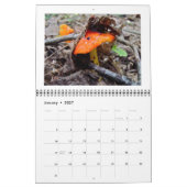 Calendrier - Champignons des bois (Jan 2027)