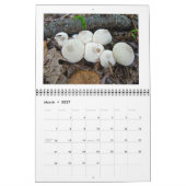Calendrier - Champignons des bois (Mar 2027)
