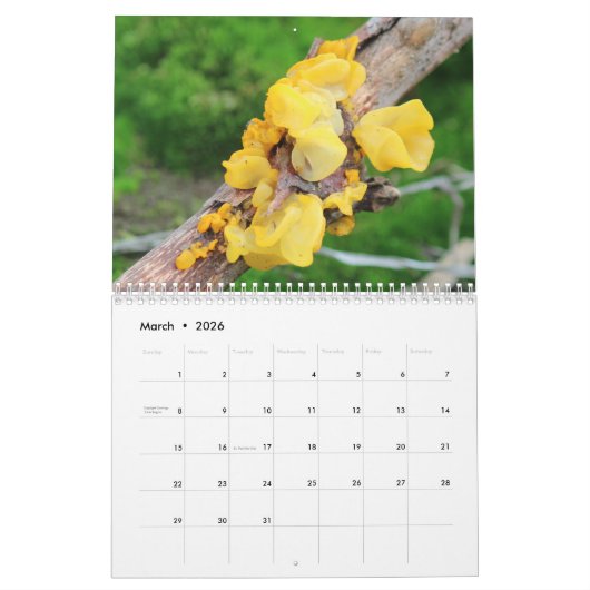 Calendrier Champignons et champignons 2025 (Mar 2026)