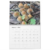 Calendrier Champignons et champignons 2025 (Feb 2026)