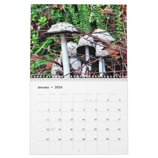 Calendrier Champignons et champignons 2025 (Jan 2026)