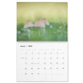 Calendrier Champignons Nature Photos 2026 (Mar 2026)
