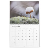 Calendrier Champignons Nature Photos 2026 (Feb 2027)