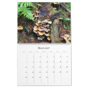Calendrier Champignons sauvages de l'Alaska - Grand Calendrie (Mar 2027)
