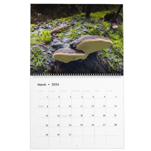 Calendrier : Champignons, Schrooms, champignons (Mar 2026)