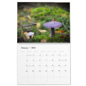Calendrier : Champignons, Schrooms, champignons (Feb 2026)
