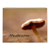 Calendrier : Champignons, Schrooms, champignons (Protection)