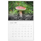 Calendrier : Champignons, Schrooms, champignons (Jan 2026)