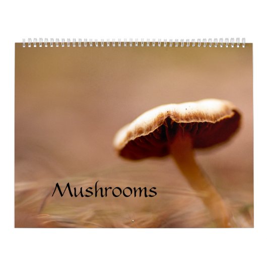 Calendrier : Champignons, Schrooms, champignons (Protection)
