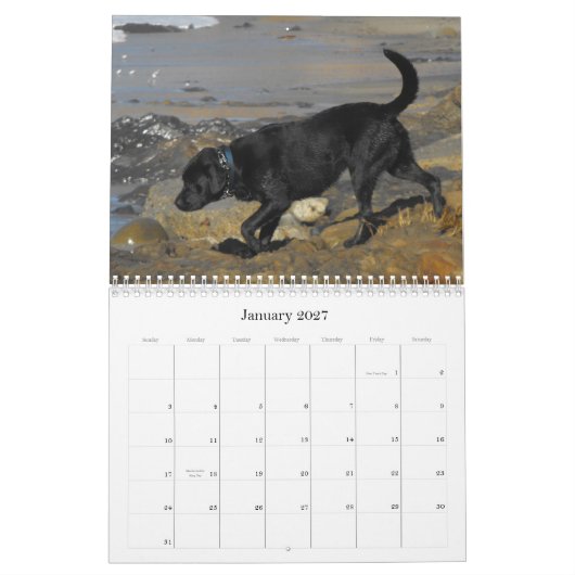 Calendrier chanceux 2012 de chien d'arrêt de (Jan 2027)