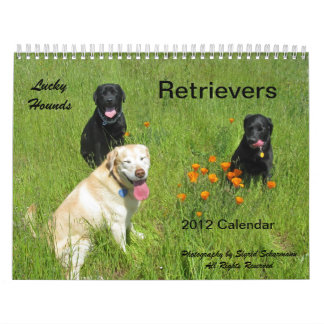 Calendrier chanceux 2012 de chien d'arrêt de
