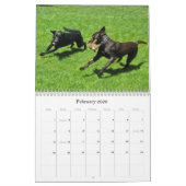 Calendrier chanceux 2012 de chien d'arrêt de (Feb 2026)
