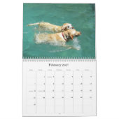 Calendrier chanceux 2013 de labrador retriever de (Feb 2027)