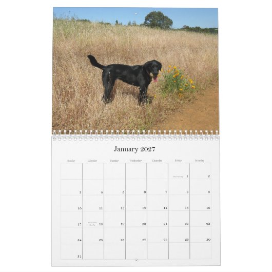 Calendrier chanceux 2013 de labrador retriever de (Jan 2027)