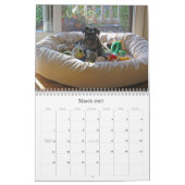 Calendrier chanceux 2013 de Schnauzer miniature de (Mar 2027)