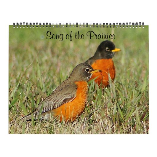 Calendrier Chanson des Prairies 2014 (Protection)