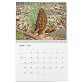 Calendrier - Chanson des saisons (Mar 2026)