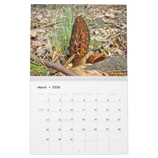 Calendrier - Chanson des saisons (Mar 2026)