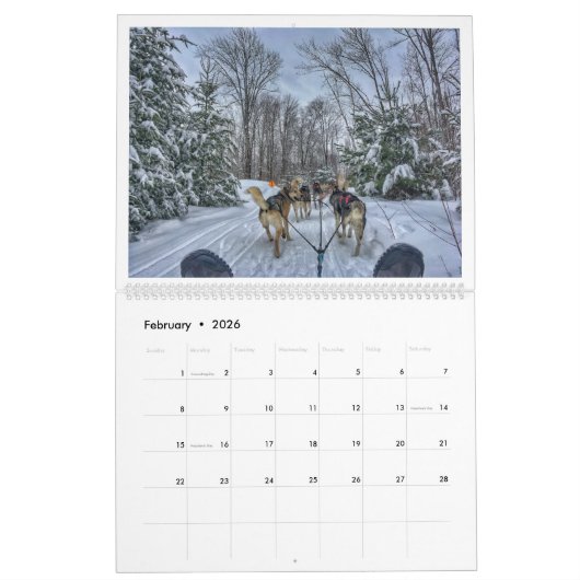 Calendrier Chaque saison à Boston (Feb 2026)