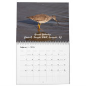 Calendrier Charadriidés de New Jersey (Feb 2026)