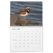 Calendrier Charadriidés de New Jersey (Mar 2027)