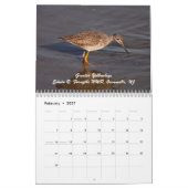 Calendrier Charadriidés de New Jersey (Feb 2027)
