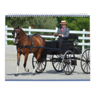 Calendrier Chariot de colline de noix conduisant le concours