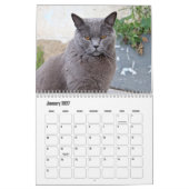 Calendrier Chartreux (Jan 2027)