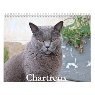 Calendrier Chartreux
