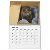 Calendrier Chartreux (Mar 2026)