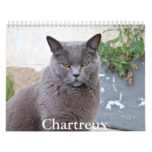 Calendrier Chartreux (Protection)