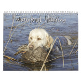 Calendrier Chasse d'oiseaux aquatiques (Protection)