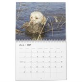 Calendrier Chasse d'oiseaux aquatiques (Mar 2027)
