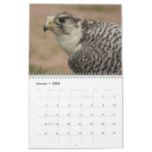 Calendrier Chasseurs du ciel (Jan 2026)