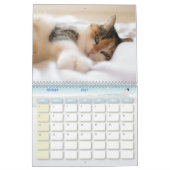 Calendrier Chat  (Feb 2027)