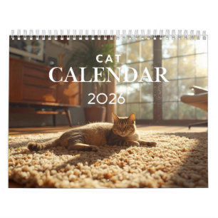 Calendrier Chat 2026 Calendrier Mural 12 Mois
