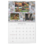 CALENDRIER CHAT AMIS D'INTERNET (Feb 2027)