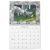 CALENDRIER CHAT AMIS D'INTERNET (Mar 2027)