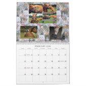 CALENDRIER CHAT AMIS D'INTERNET (Feb 2026)