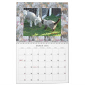 CALENDRIER CHAT AMIS D'INTERNET (Mar 2026)