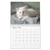 Calendrier Chat blanc (Feb 2026)