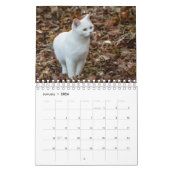 Calendrier Chat blanc (Jan 2026)