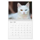 Calendrier Chat blanc (Mar 2026)