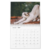 Calendrier Chat de Yoga (Jan 2027)
