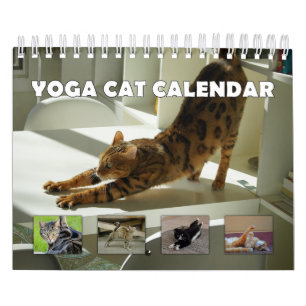 Calendrier Chat de Yoga