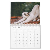 Calendrier Chat de Yoga (Jan 2026)