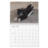 Calendrier Chat de Yoga (Mar 2026)