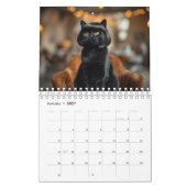 Calendrier Chat décoiffé (Jan 2027)