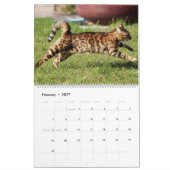 Calendrier Chat du Bengale (Feb 2027)